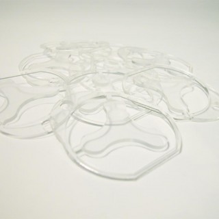 Trimaxia::Working w/Multiple Repeating Forms